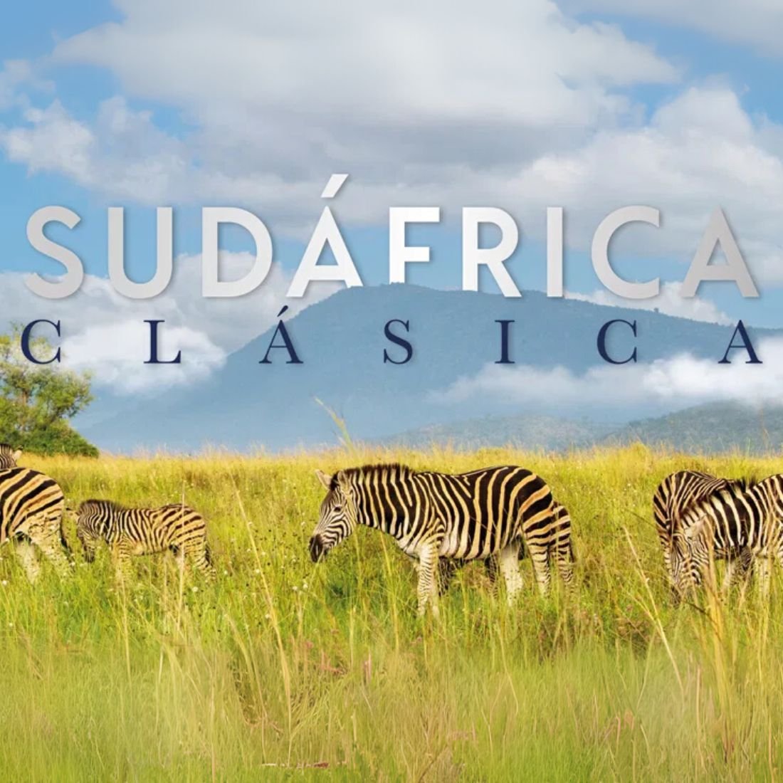 africa tours 1 africa tours 1