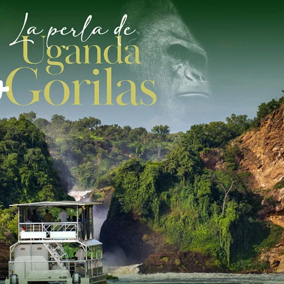 africa tours 3 africa tours 3